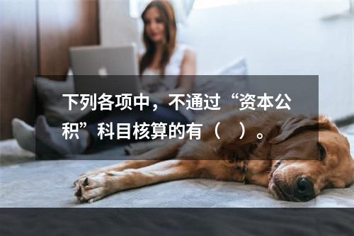 下列各项中，不通过“资本公积”科目核算的有（　）。