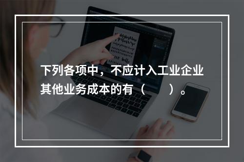 下列各项中，不应计入工业企业其他业务成本的有（　　）。