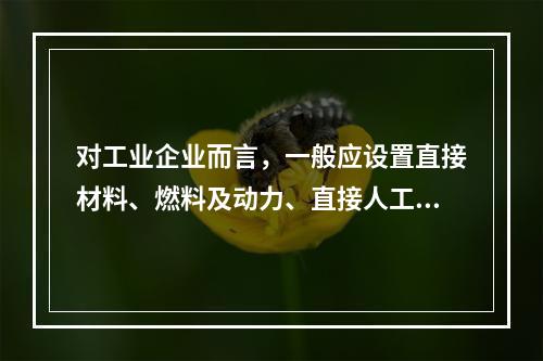 对工业企业而言，一般应设置直接材料、燃料及动力、直接人工、制