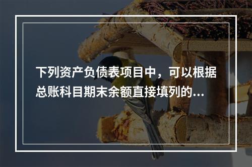 下列资产负债表项目中，可以根据总账科目期末余额直接填列的是（