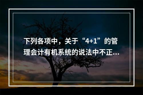 下列各项中，关于“4+1”的管理会计有机系统的说法中不正确的