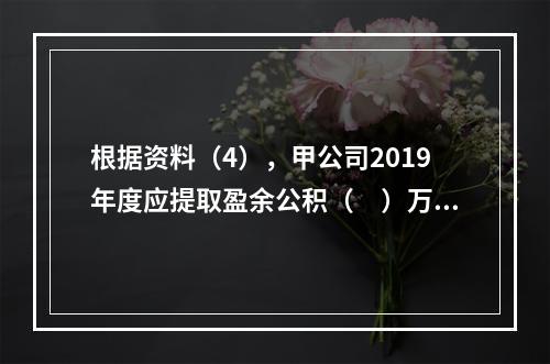 根据资料（4），甲公司2019年度应提取盈余公积（　）万元。