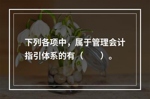 下列各项中，属于管理会计指引体系的有（　　）。