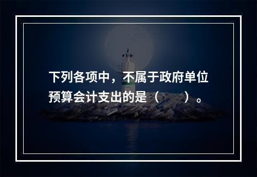 下列各项中，不属于政府单位预算会计支出的是（　　）。