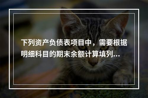 下列资产负债表项目中，需要根据明细科目的期末余额计算填列的有