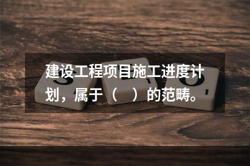 建设工程项目施工进度计划，属于（　）的范畴。