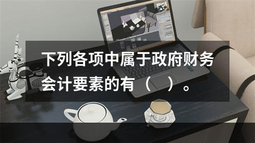 下列各项中属于政府财务会计要素的有（　）。