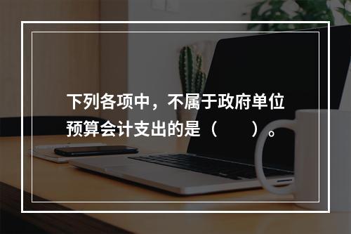 下列各项中，不属于政府单位预算会计支出的是（　　）。