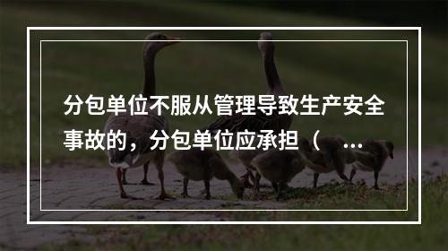 分包单位不服从管理导致生产安全事故的，分包单位应承担（　）。