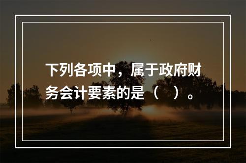 下列各项中，属于政府财务会计要素的是（　）。