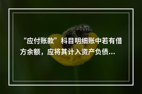 “应付账款”科目明细账中若有借方余额，应将其计入资产负债表中