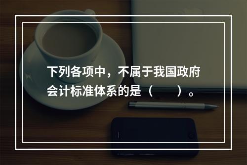 下列各项中，不属于我国政府会计标准体系的是（　　）。