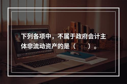 下列各项中，不属于政府会计主体非流动资产的是（　　）。