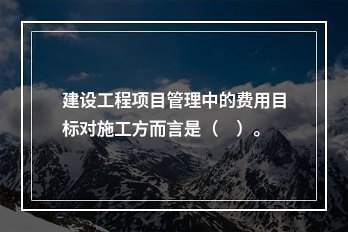 建设工程项目管理中的费用目标对施工方而言是（　）。