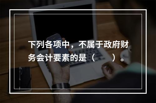 下列各项中，不属于政府财务会计要素的是（　　）。