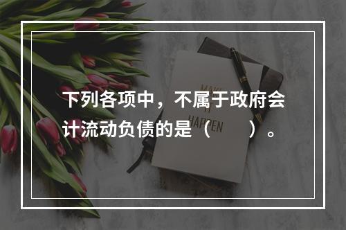 下列各项中，不属于政府会计流动负债的是（　　）。