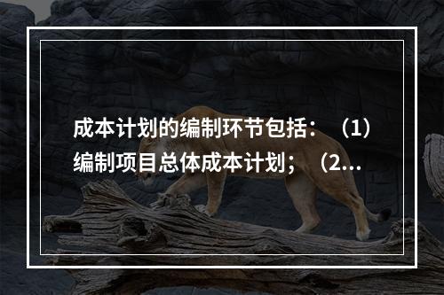 成本计划的编制环节包括：（1）编制项目总体成本计划；（2）确