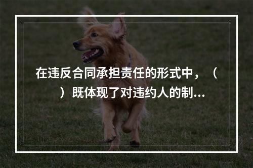 在违反合同承担责任的形式中，（　　）既体现了对违约人的制裁