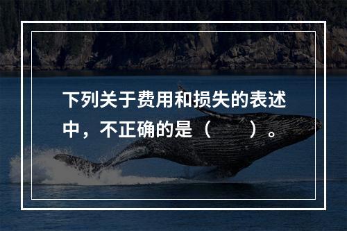 下列关于费用和损失的表述中，不正确的是（　　）。