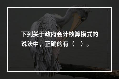 下列关于政府会计核算模式的说法中，正确的有（　）。