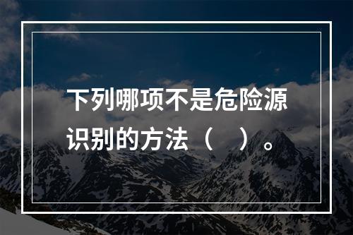 下列哪项不是危险源识别的方法（　）。