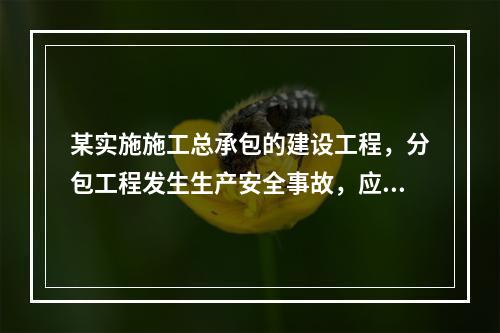 某实施施工总承包的建设工程，分包工程发生生产安全事故，应由（