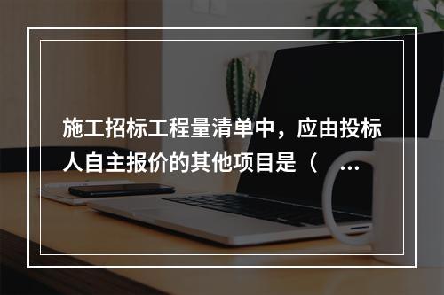 施工招标工程量清单中，应由投标人自主报价的其他项目是（　）。