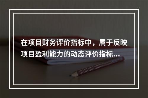 在项目财务评价指标中，属于反映项目盈利能力的动态评价指标的