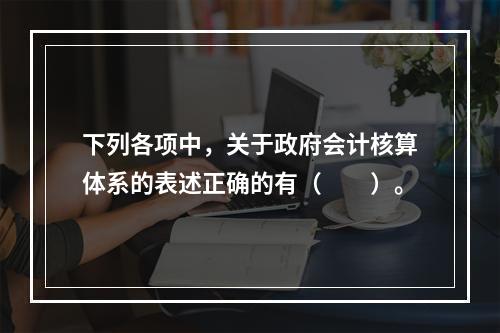 下列各项中，关于政府会计核算体系的表述正确的有（　　）。