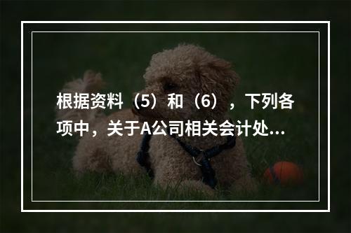 根据资料（5）和（6），下列各项中，关于A公司相关会计处理结