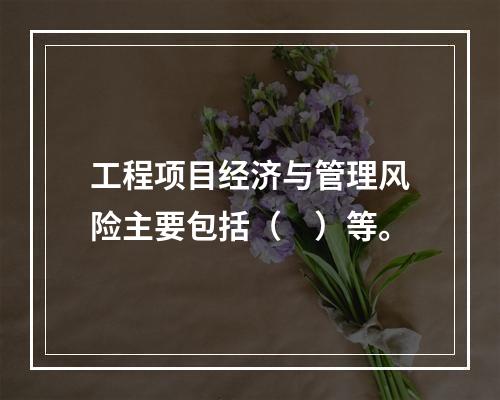 工程项目经济与管理风险主要包括（　）等。