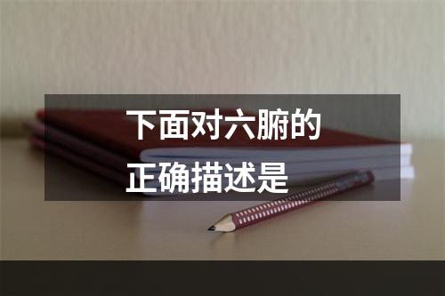 下面对六腑的正确描述是