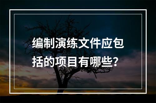 编制演练文件应包括的项目有哪些？