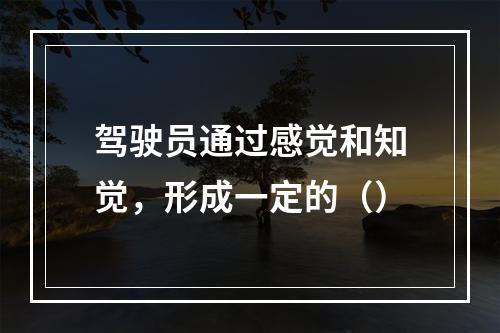 驾驶员通过感觉和知觉，形成一定的（）