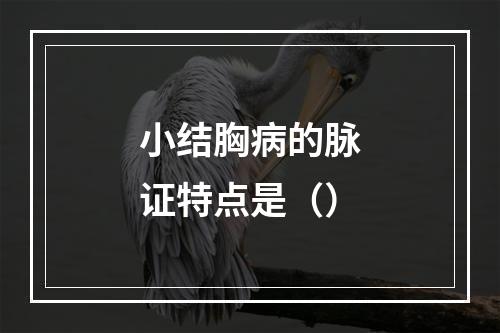 小结胸病的脉证特点是（）