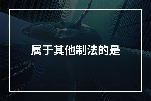 属于其他制法的是