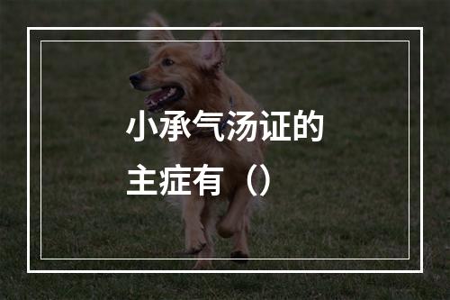 小承气汤证的主症有（）