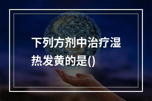 下列方剂中治疗湿热发黄的是()