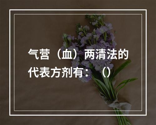 气营（血）两清法的代表方剂有：（）