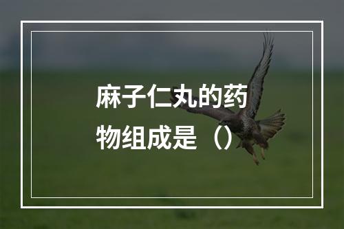 麻子仁丸的药物组成是（）