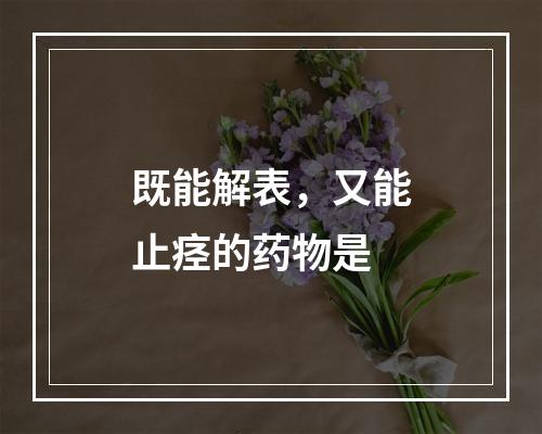 既能解表，又能止痉的药物是