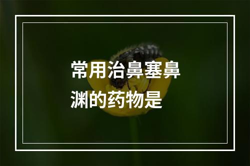 常用治鼻塞鼻渊的药物是