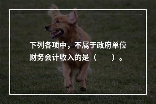 下列各项中，不属于政府单位财务会计收入的是（　　）。