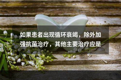 如果患者出现循环衰竭，除外加强抗菌治疗，其他主要治疗应是