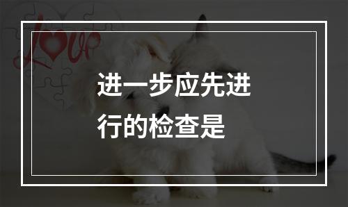 进一步应先进行的检查是