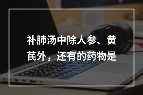 补肺汤中除人参、黄芪外，还有的药物是