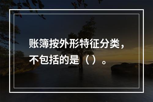 账簿按外形特征分类，不包括的是（ ）。