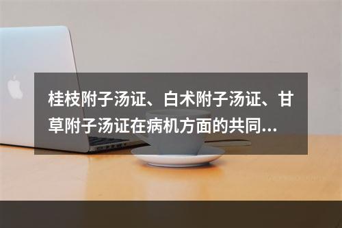 桂枝附子汤证、白术附子汤证、甘草附子汤证在病机方面的共同特点