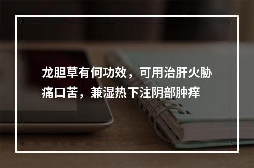 龙胆草有何功效，可用治肝火胁痛口苦，兼湿热下注阴部肿痒