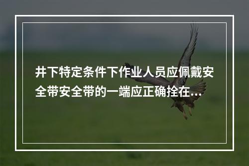 井下特定条件下作业人员应佩戴安全带安全带的一端应正确拴在牢固